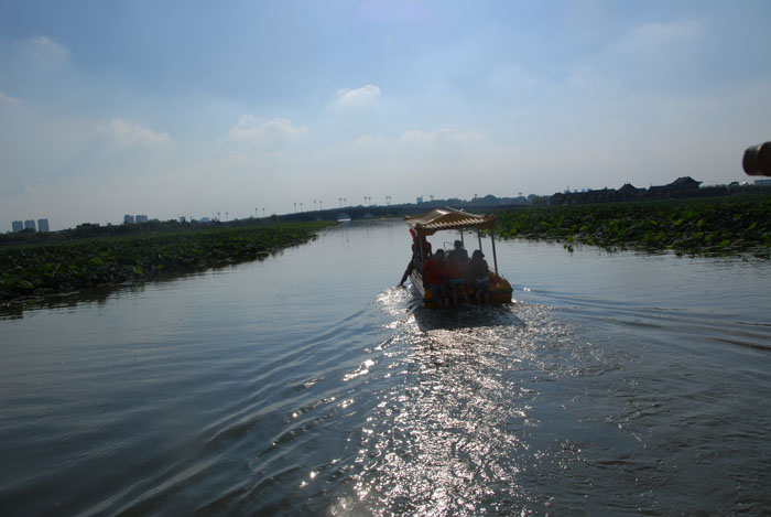 Ϧ�(y��ng)������ӭ�������ϰ�